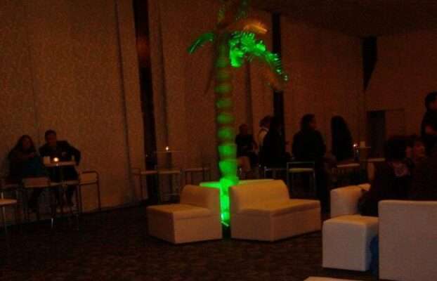 Palmera2